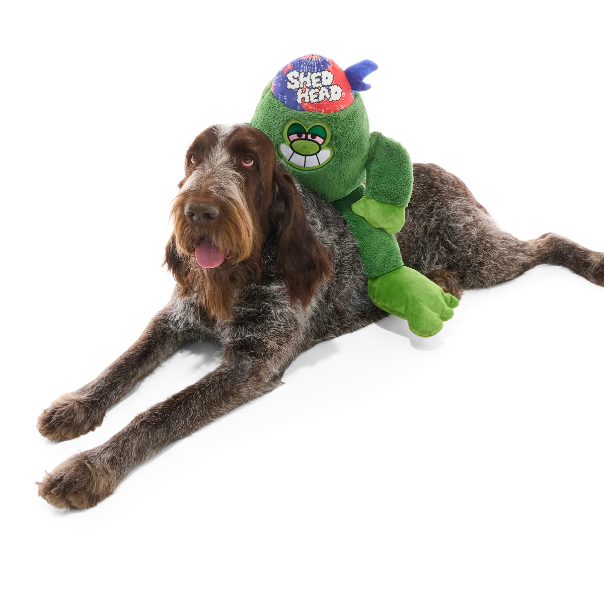 Grassquatch Plush Extra-Large Tug Dog Toy - Image 5