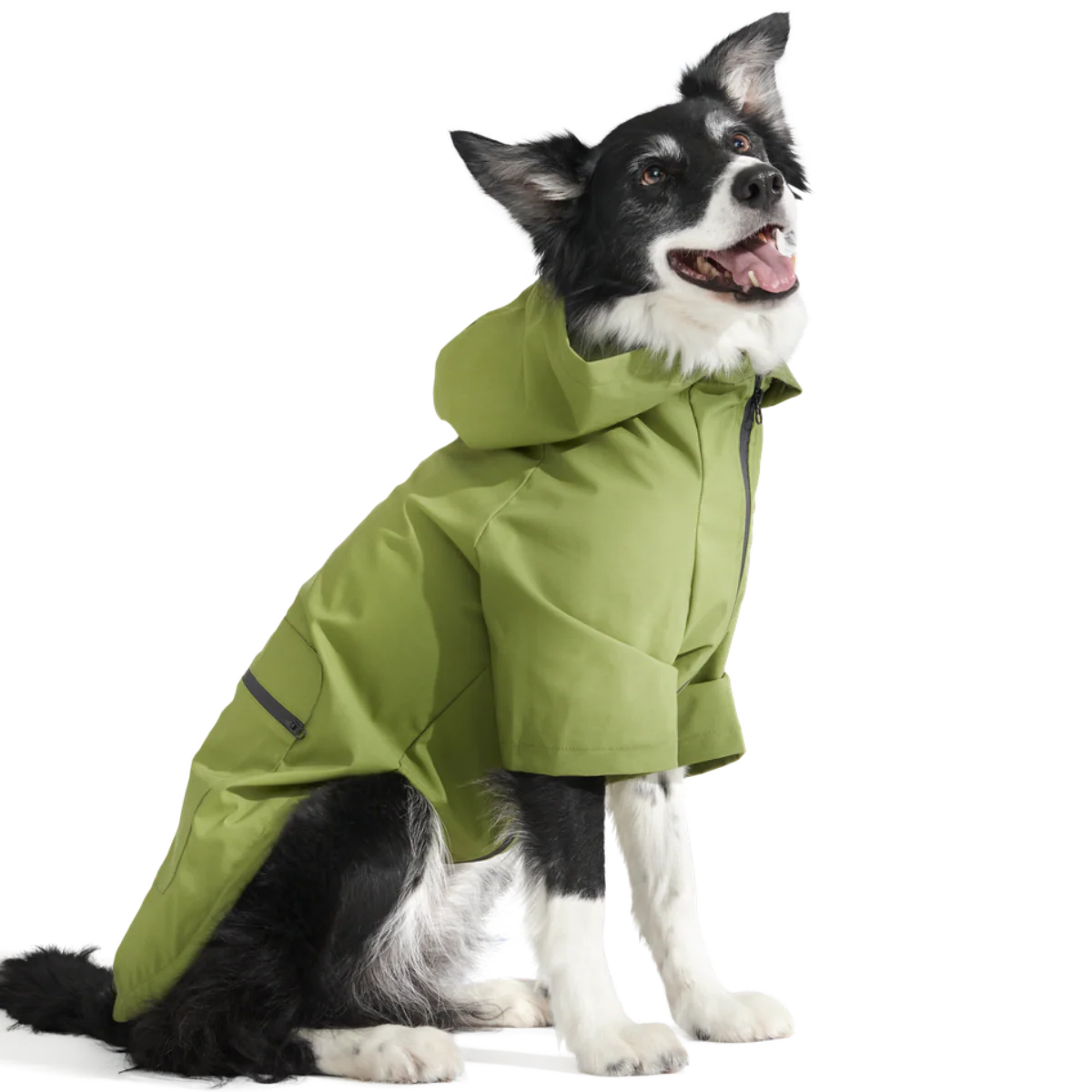 The Dry Dog Raincoat - Image 6