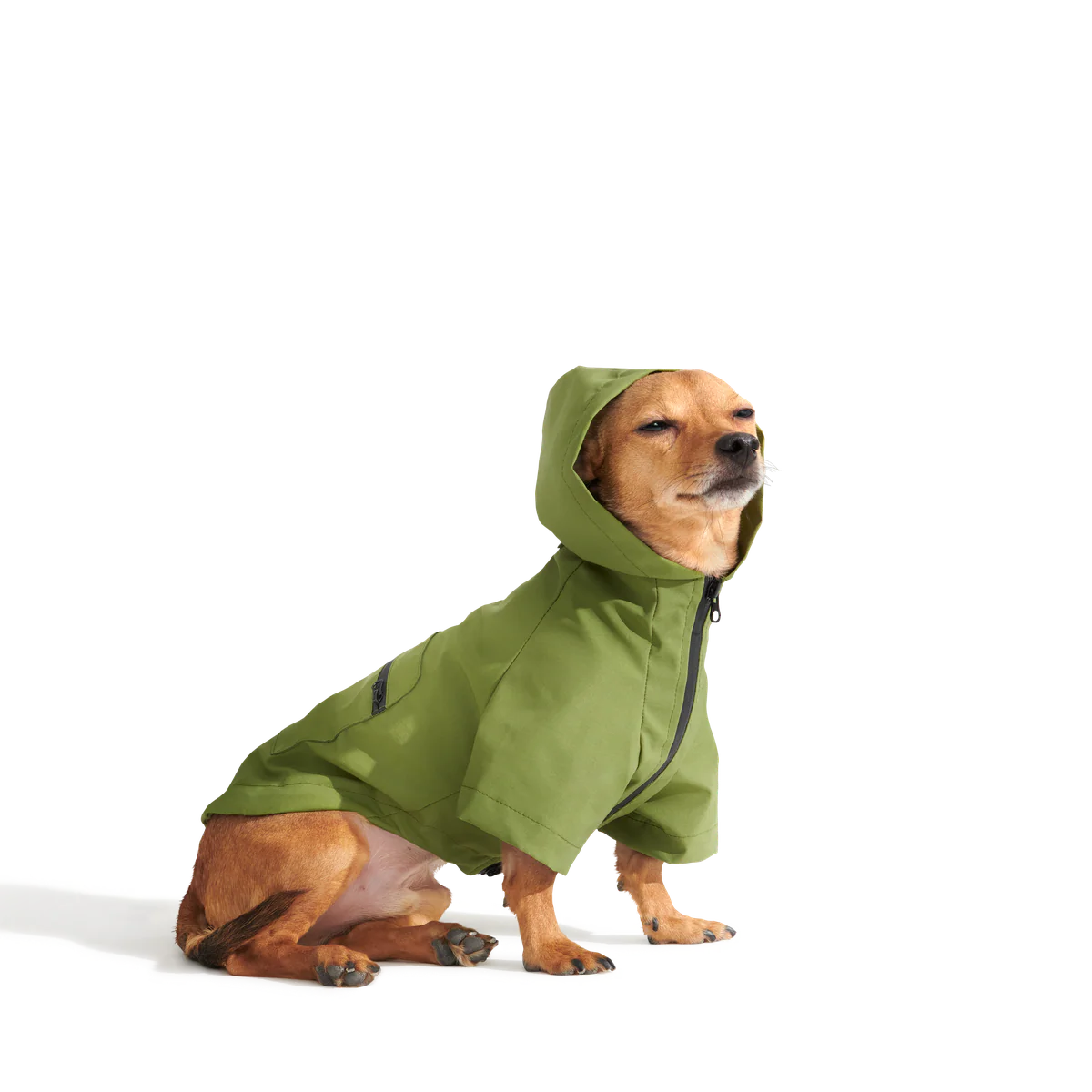 The Dry Dog Raincoat - Image 8