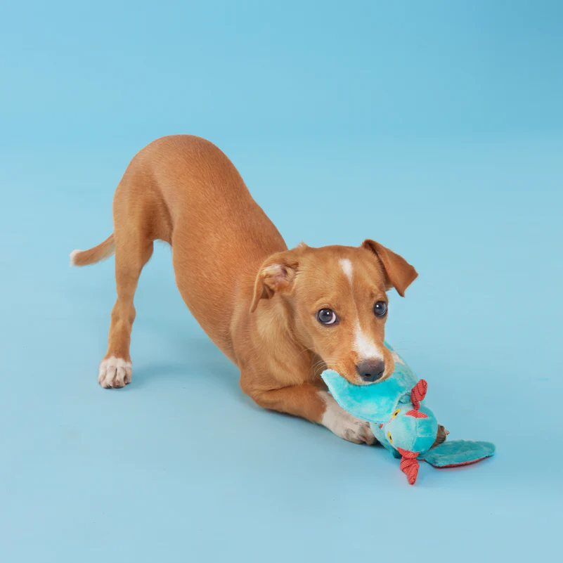 Grimbold the Dragon Plush Tug Dog Toy - Image 5