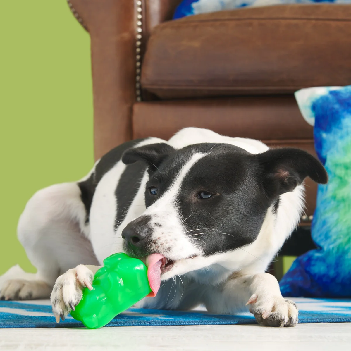 Gummy Buddy Super Chewer Durable Multi-Part + Enrichment Dog Toy - Image 3