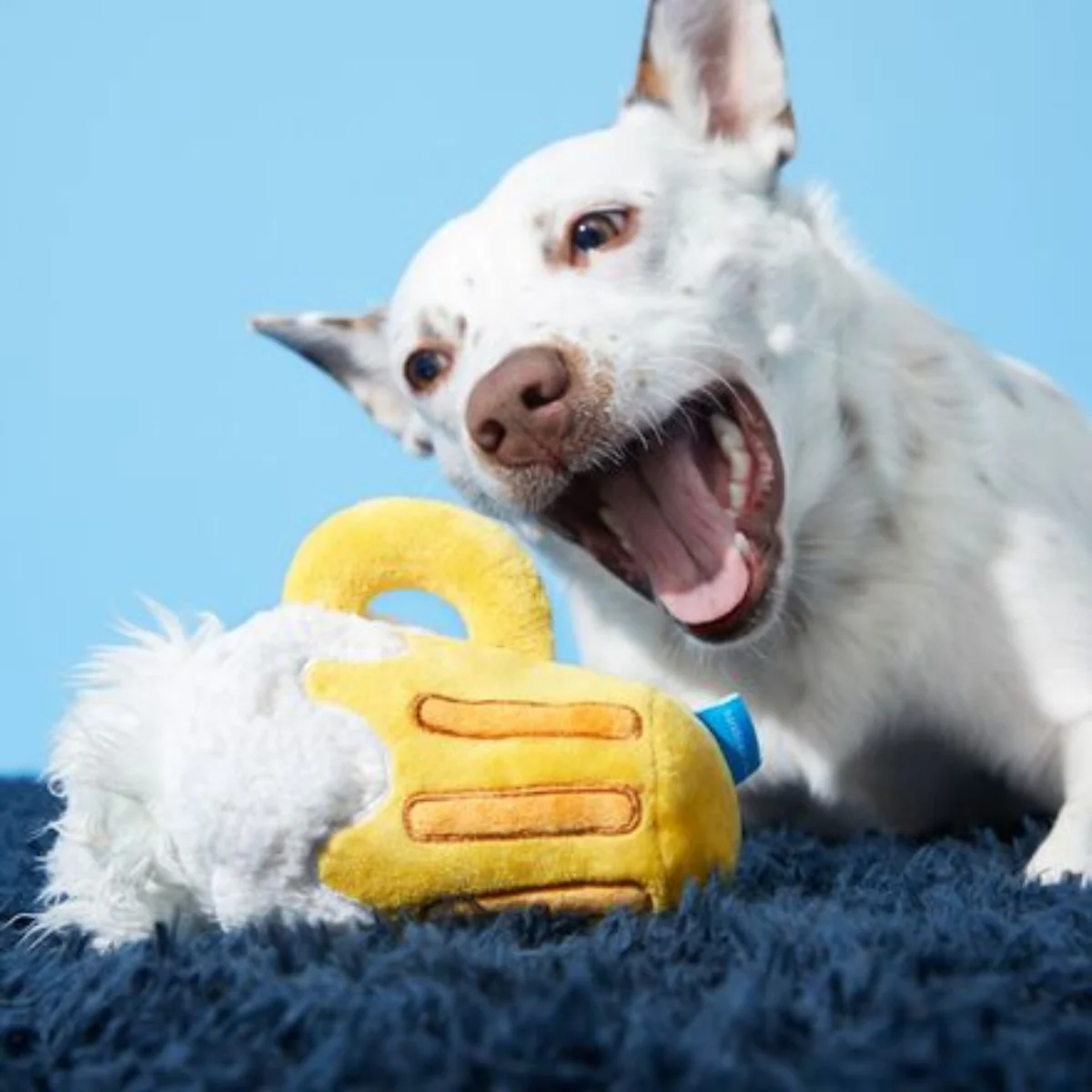Hair of the Dog Plush Tug + 2-in-1 Rip and Reveal Dog Toy - Image 2