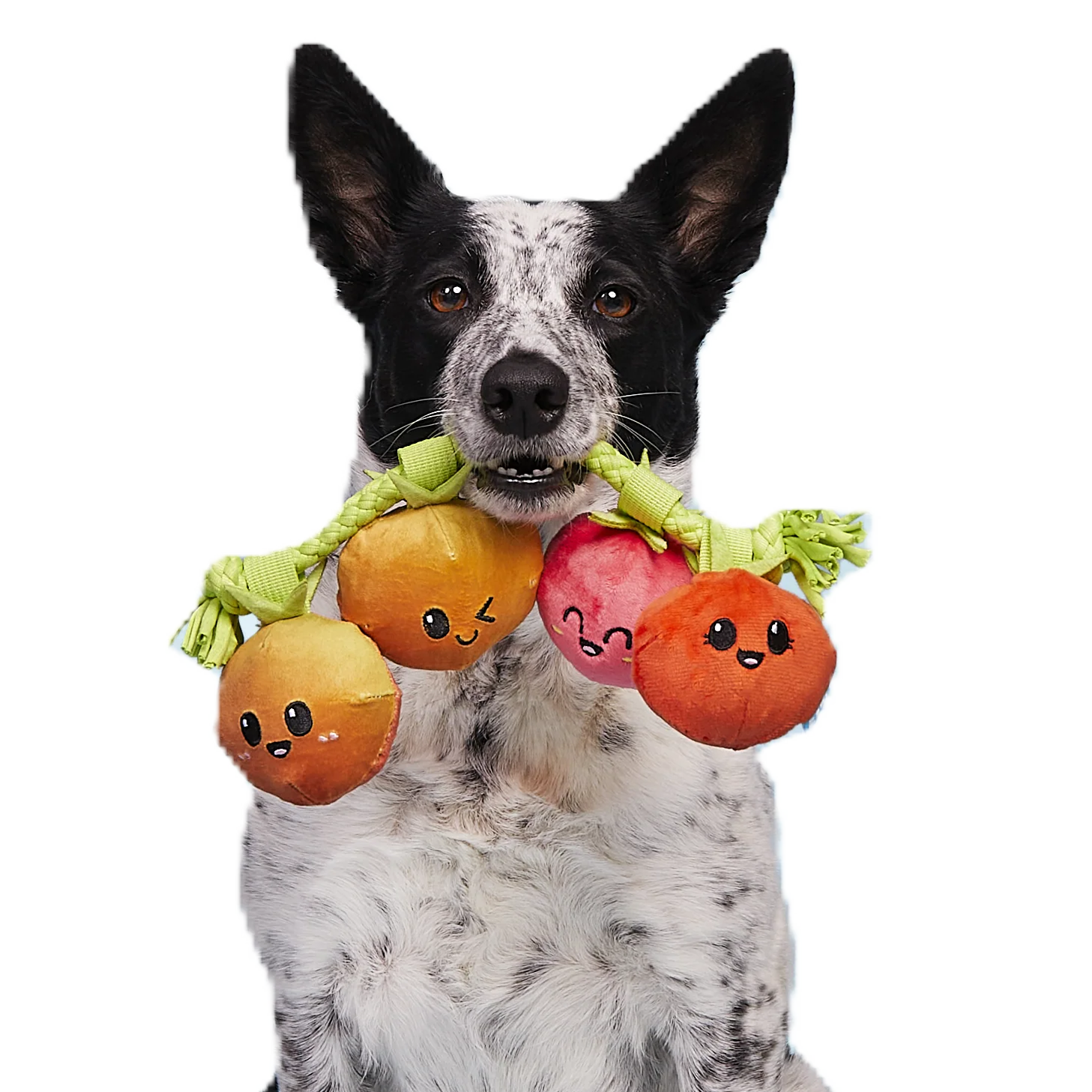 Hairloom Tomatoes Plush Tug Dog Toy - Image 2