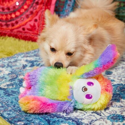 Hairy Garcia Plush Tug Dog Toy - Image 2