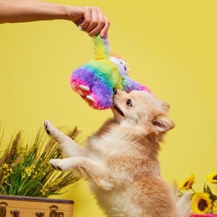Hairy Garcia Plush Tug Dog Toy - Image 4