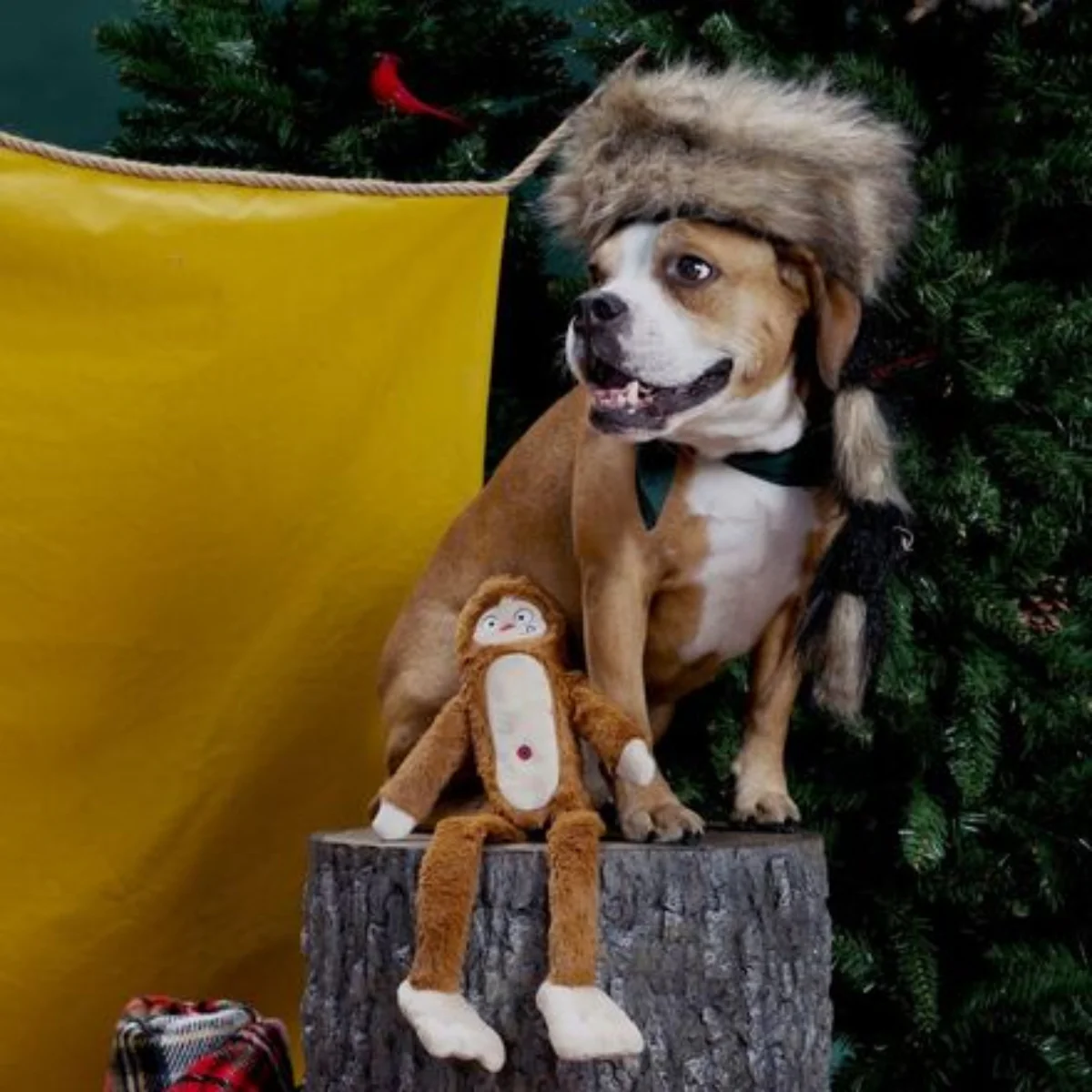 Hairy Henderson Plush Tug + Extra-Large Dog Toy - Image 4