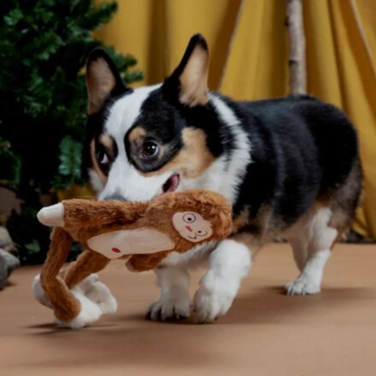 Hairy Henderson Plush Tug + Extra-Large Dog Toy - Image 5