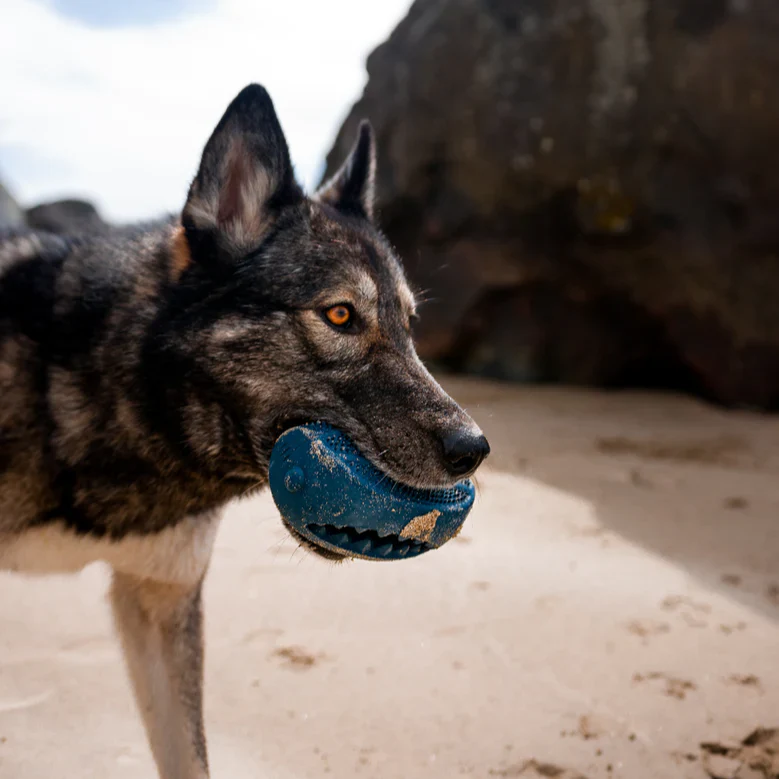 HammerFed Shark Super Chewer Durable Enrichment Dog Toy - Image 2