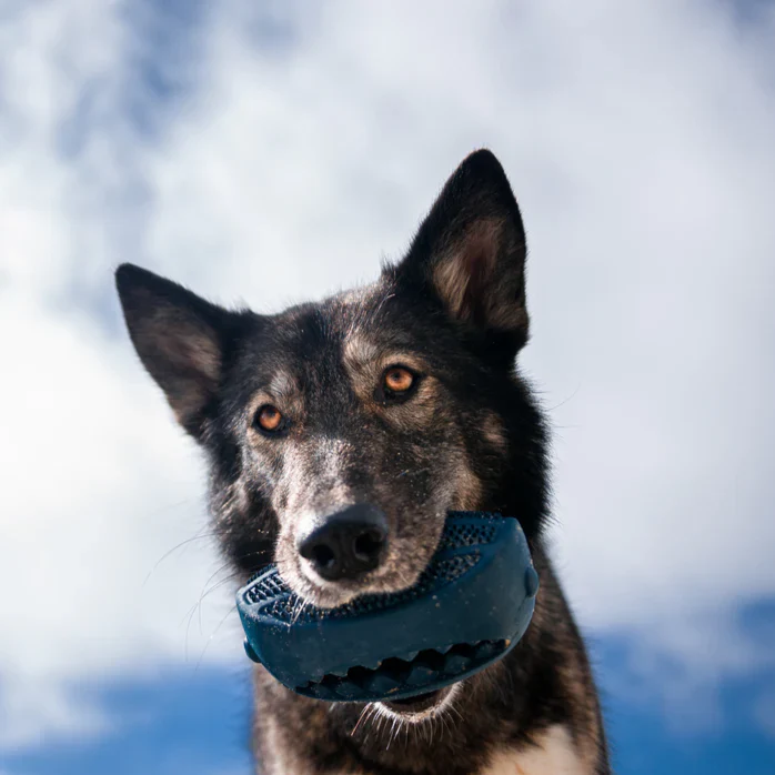 HammerFed Shark Super Chewer Durable Enrichment Dog Toy - Image 3
