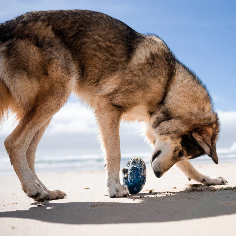 HammerFed Shark Super Chewer Durable Enrichment Dog Toy - Image 4