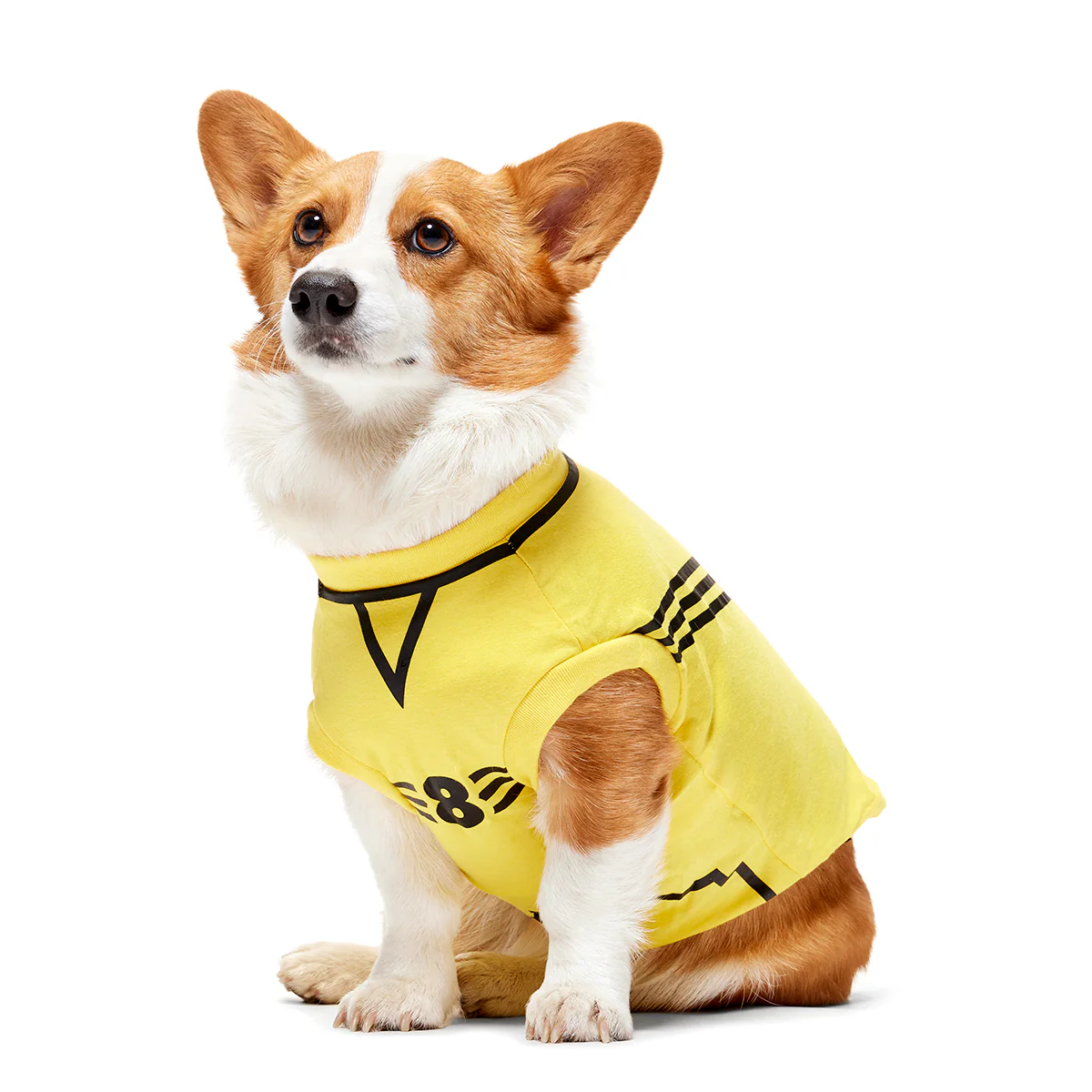 Quidditch™ Jersey - Image 11