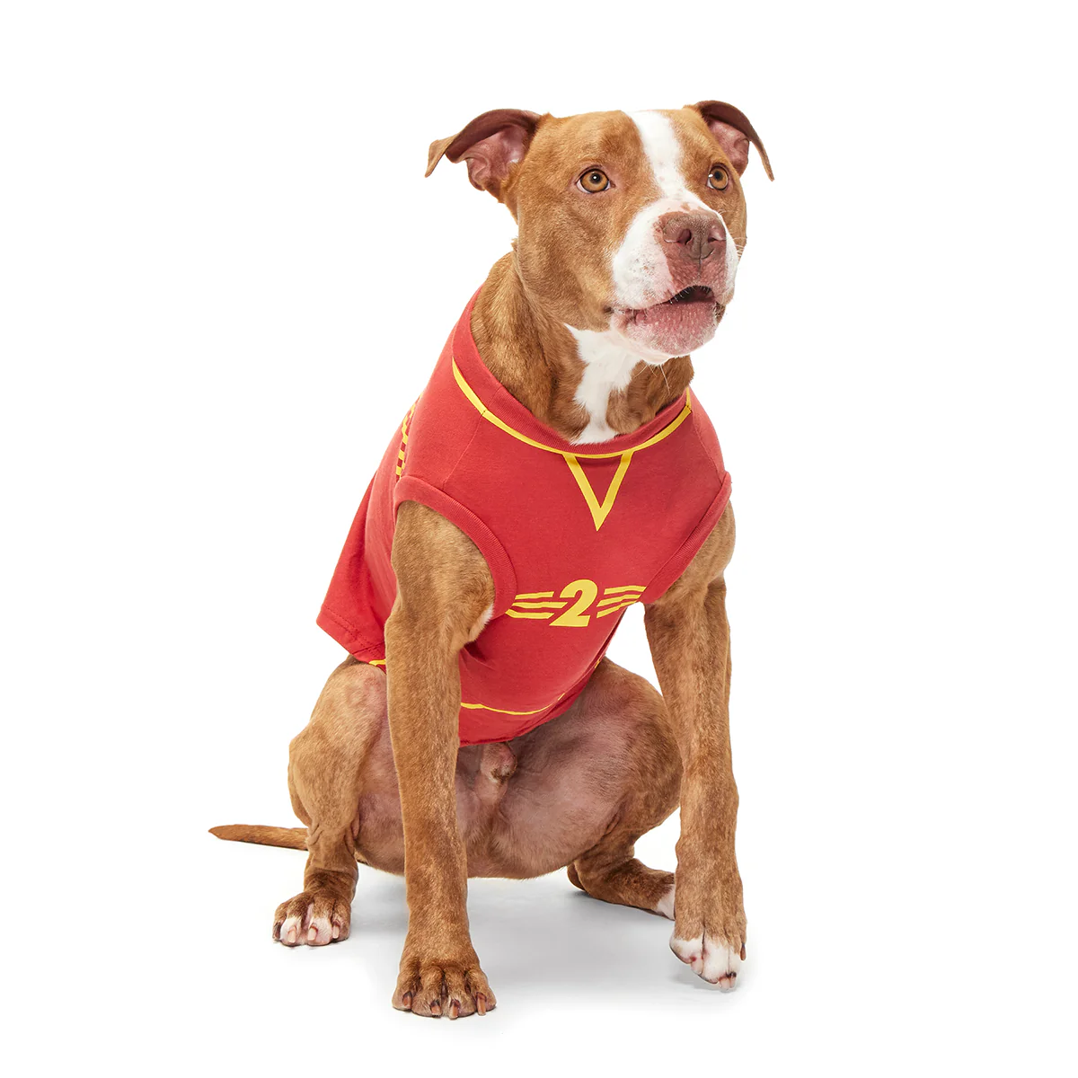 Quidditch™ Jersey - Image 2