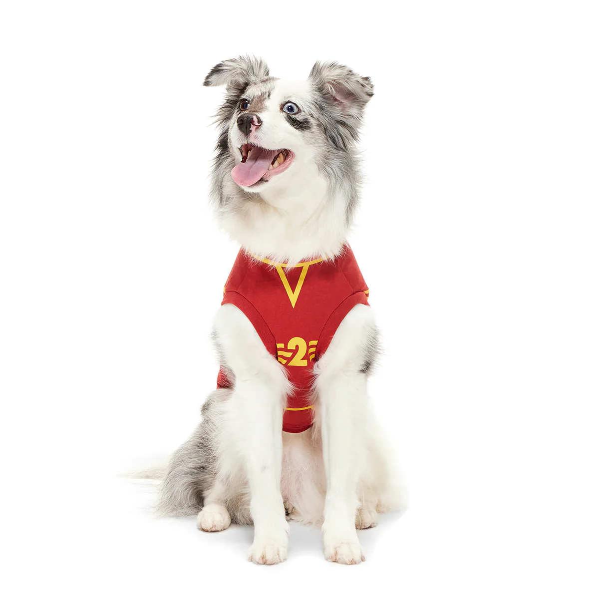 Quidditch™ Jersey - Image 4