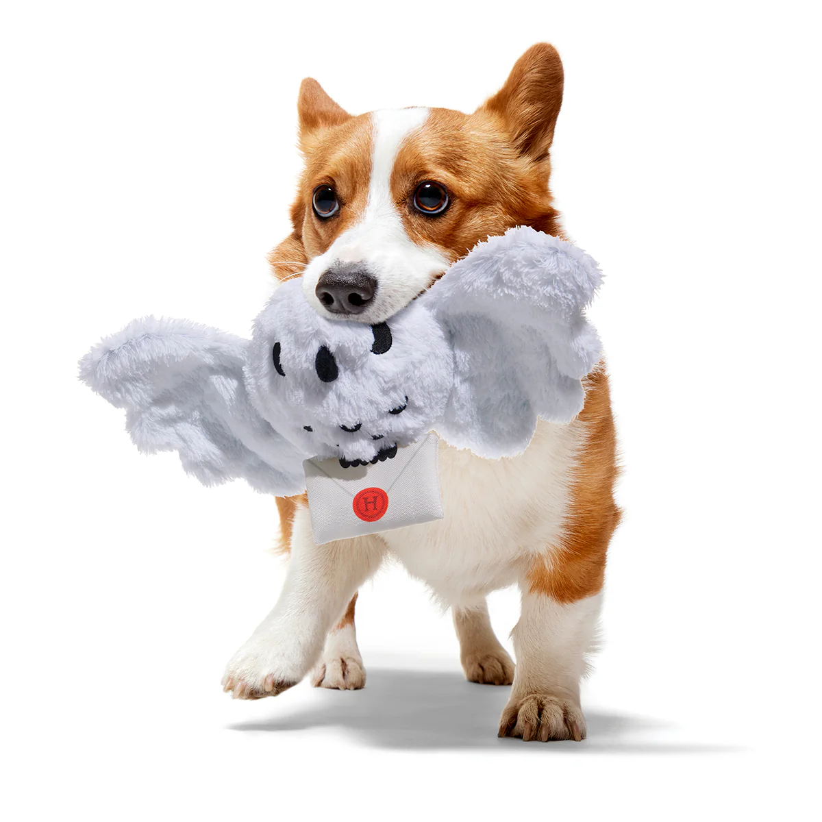 Hedwig™ Plush Tug Dog Toy - Image 2