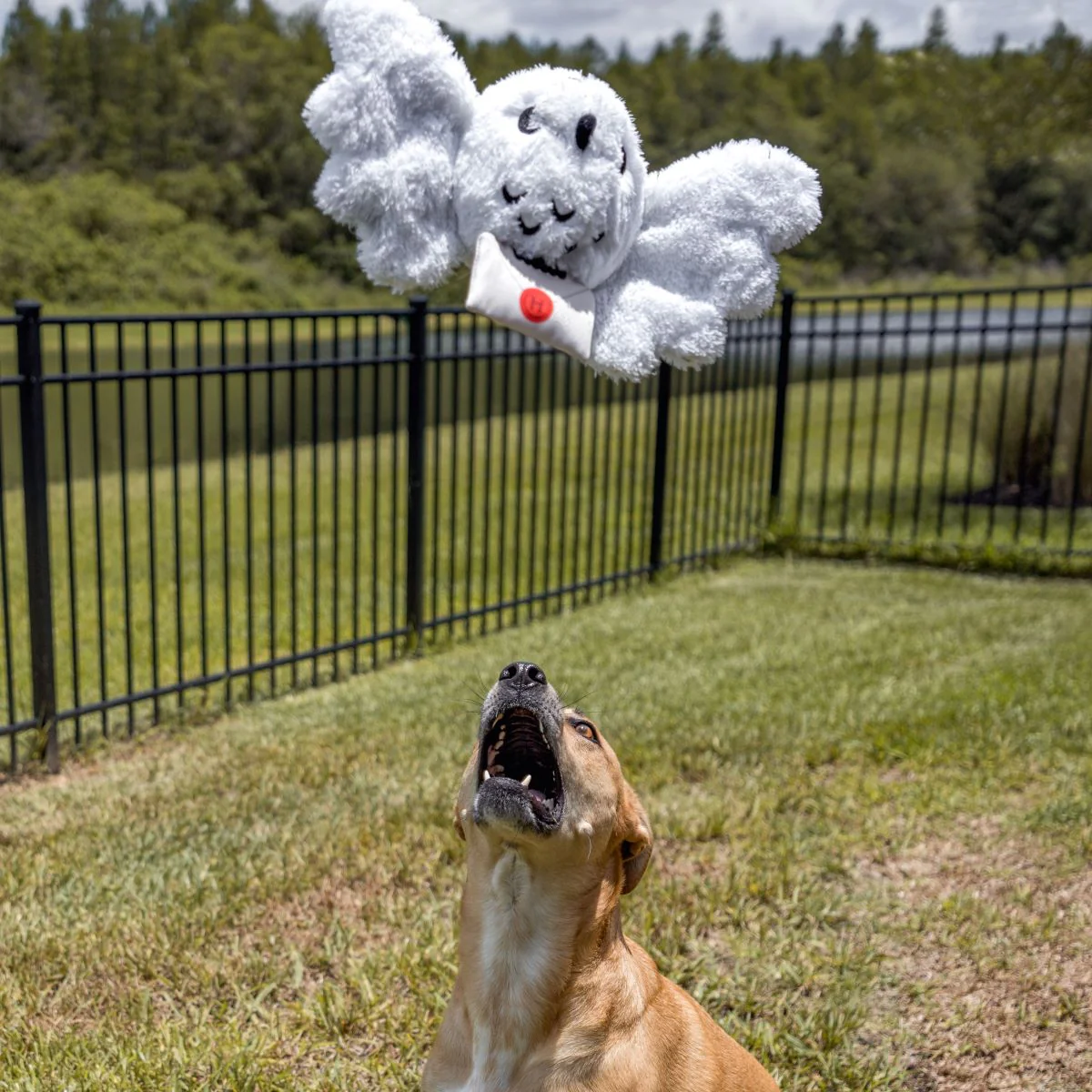 Hedwig™ Plush Tug Dog Toy - Image 4