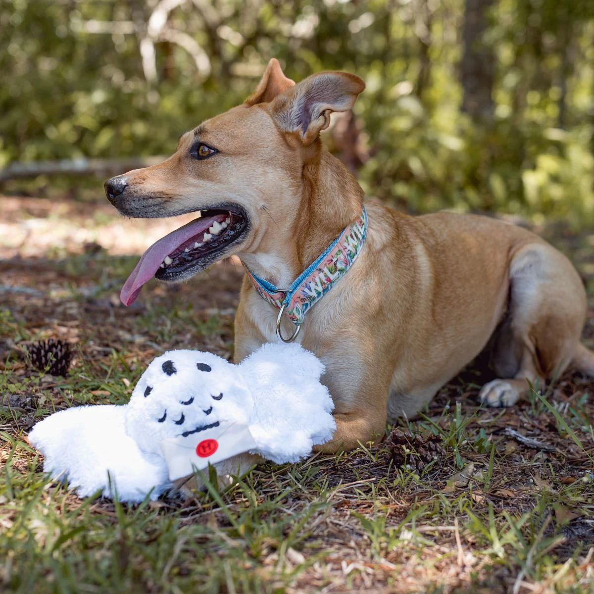 Hedwig™ Plush Tug Dog Toy - Image 5