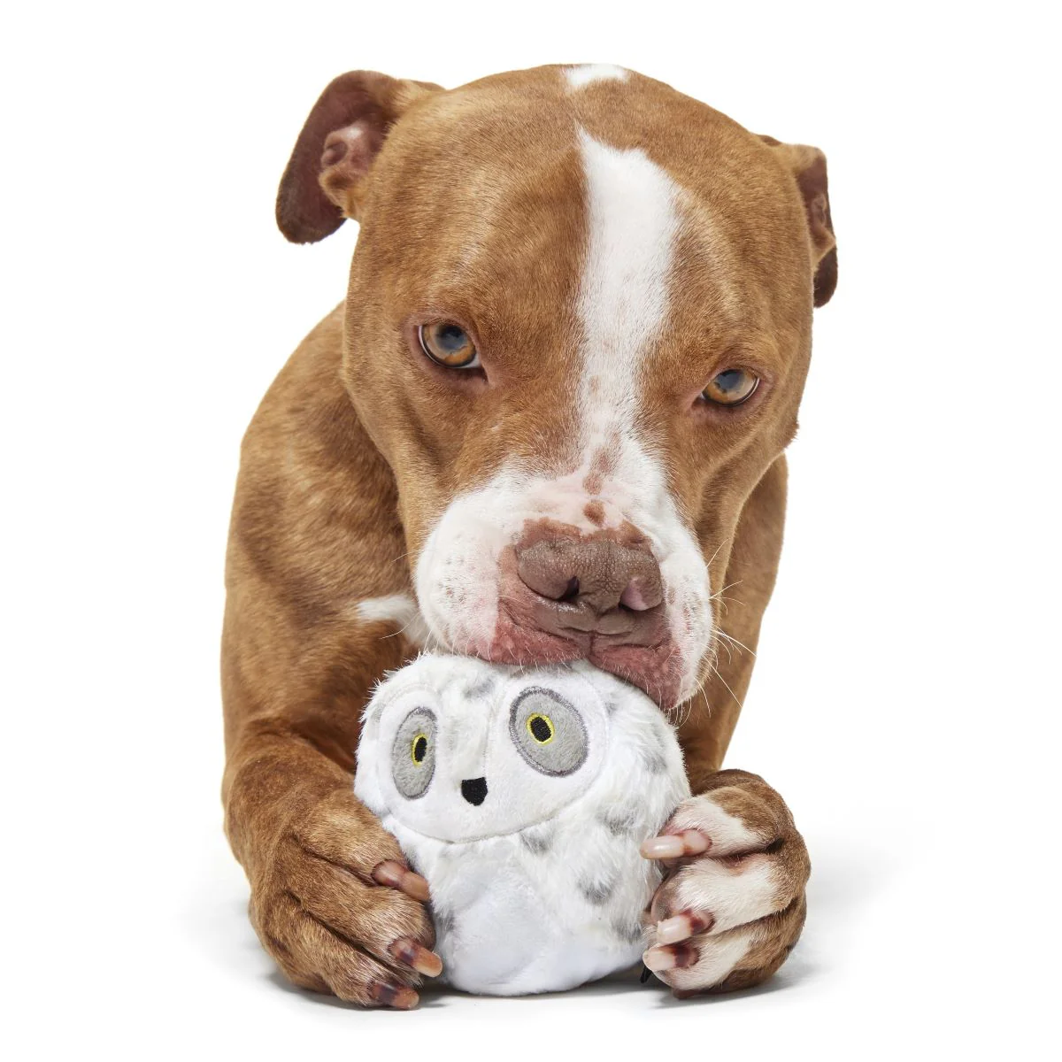 Hedwig™ the Owl Durable Super Chewer 2-in-1 Rip and Reveal + Fetch Dog Toy - Image 3