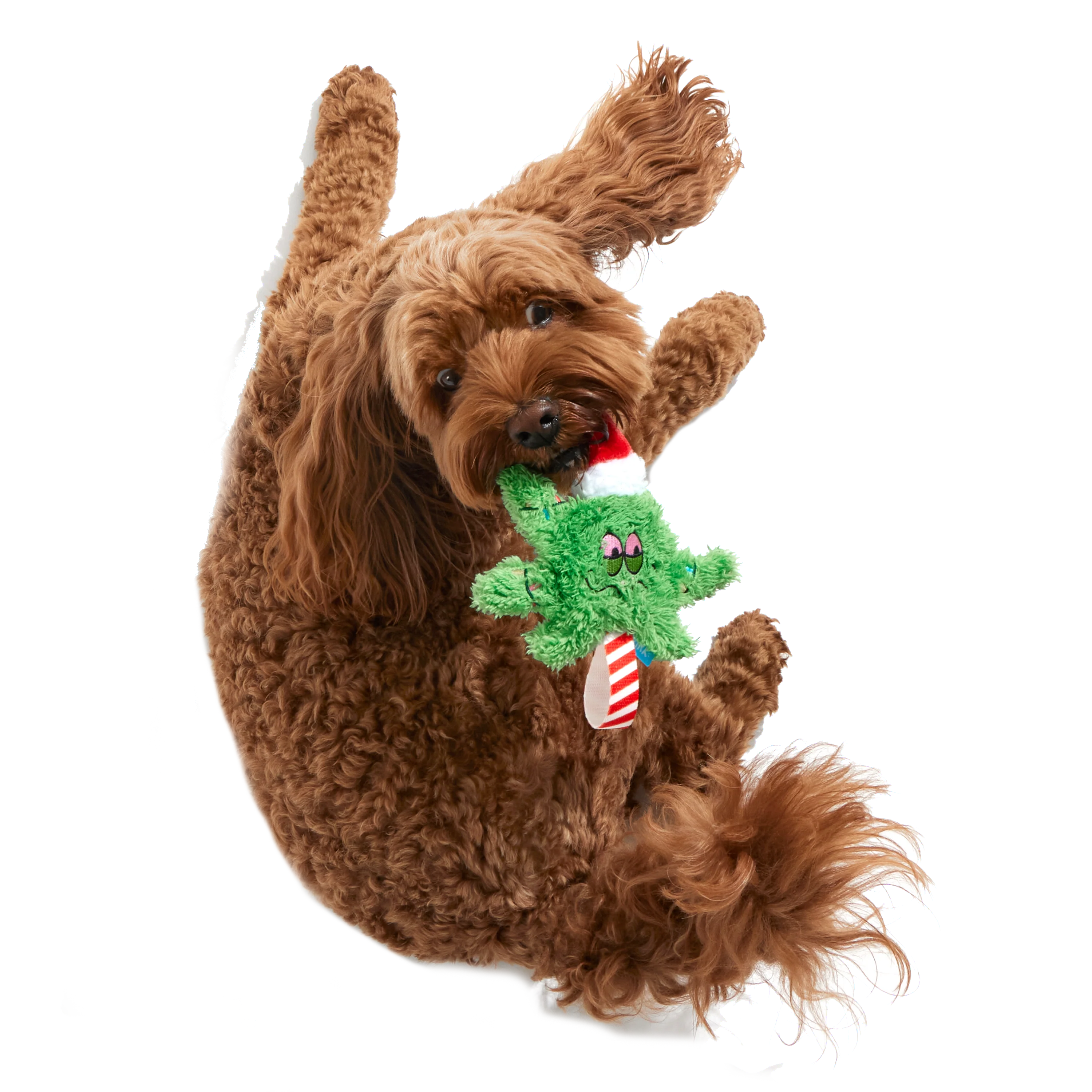 Herbie Holidaze Tug Plush Tug Dog Toy - Image 2