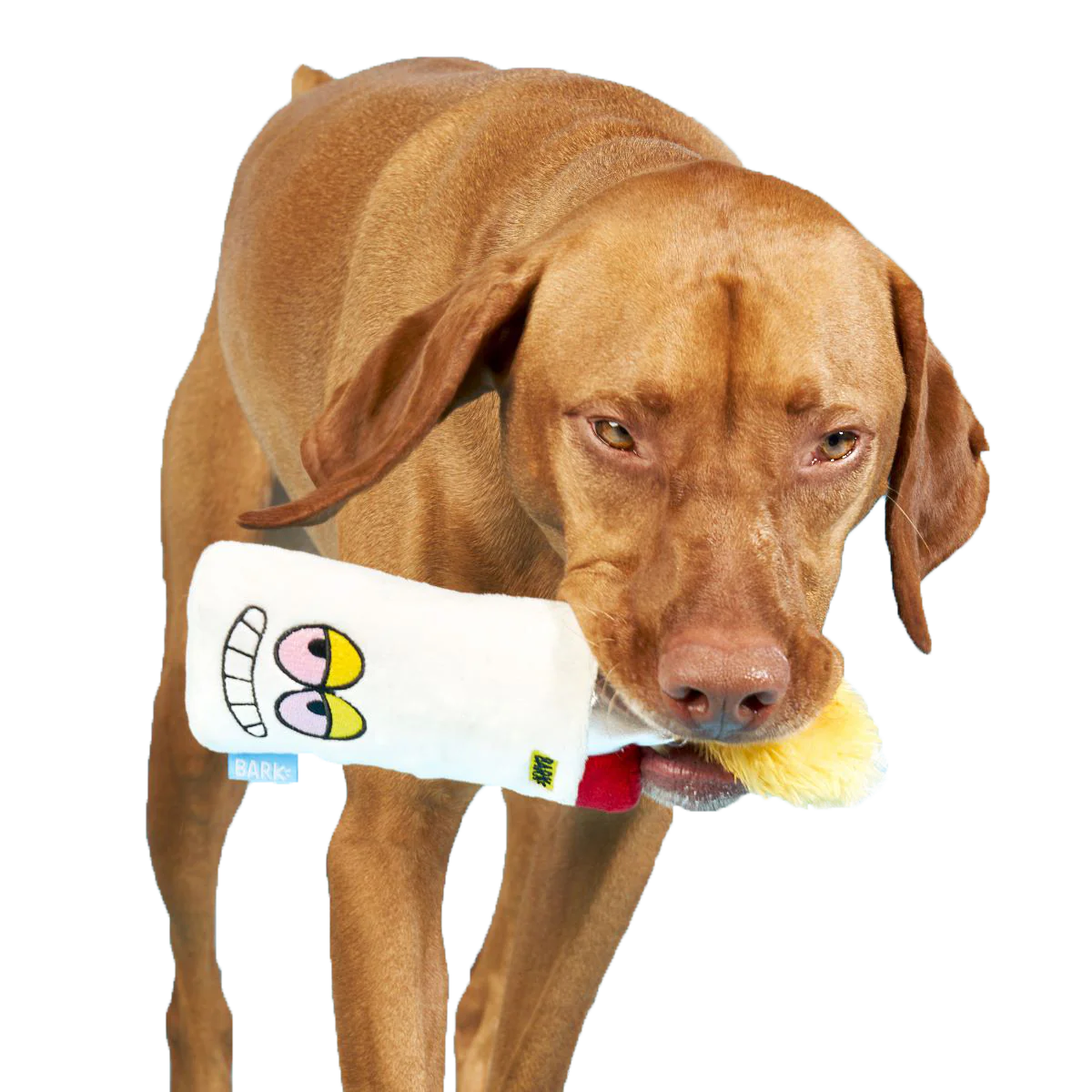 High Lighter Plush Dog Toy - Image 2