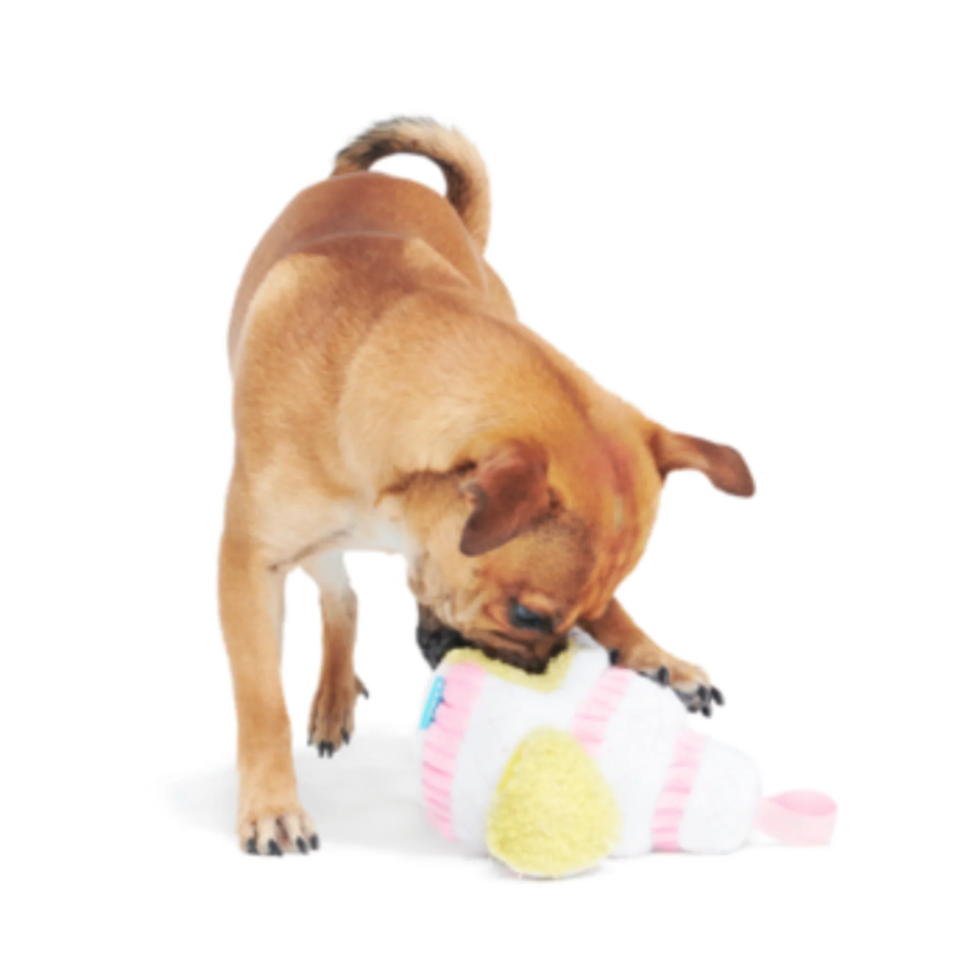 Holy Ratrimony Plush Multi-Part Dog Toy - Image 2