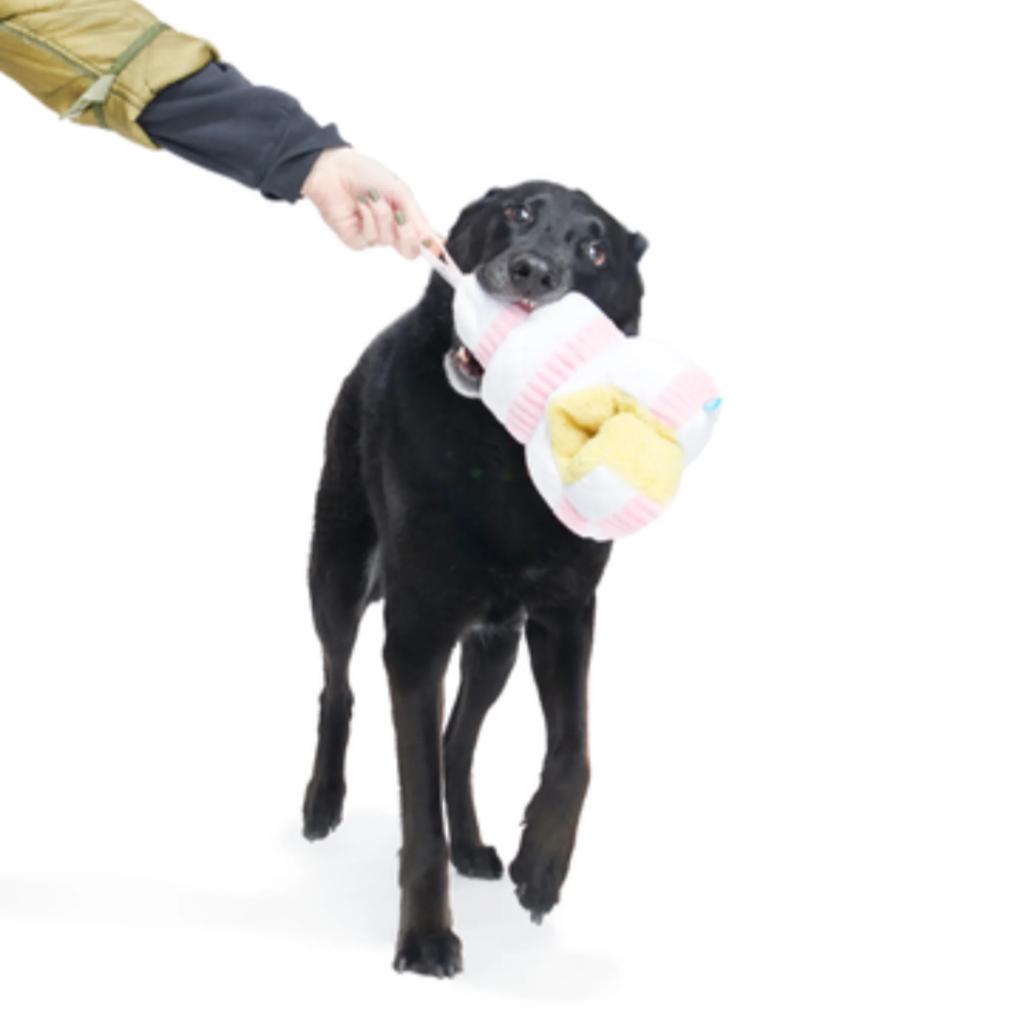 Holy Ratrimony Plush Multi-Part Dog Toy - Image 3