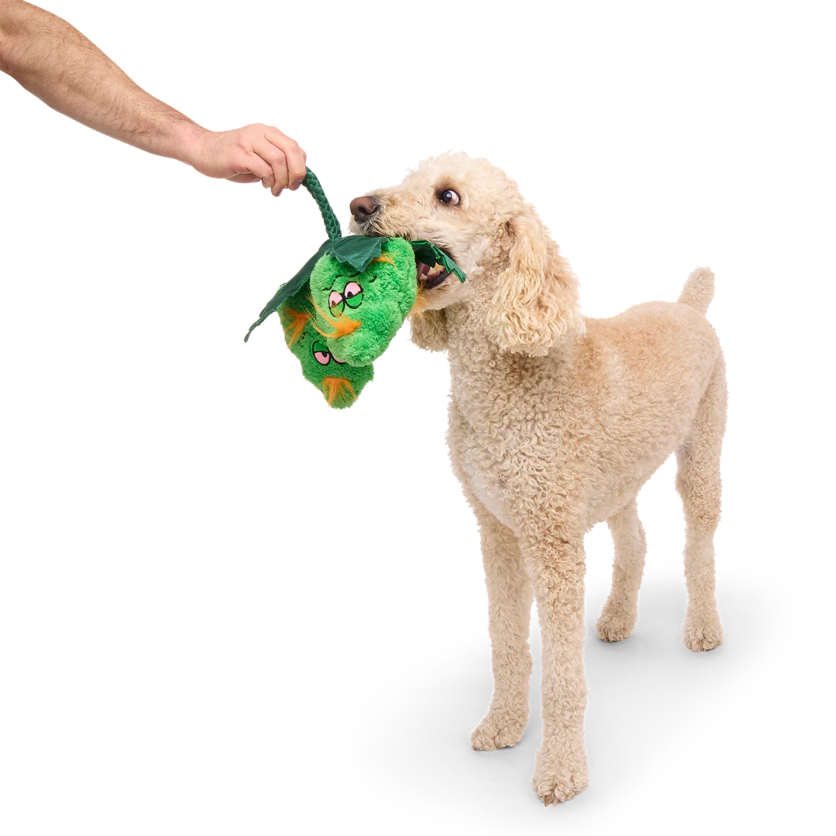 Hydropawnic Buds Plush Tug Dog Toy - Image 2