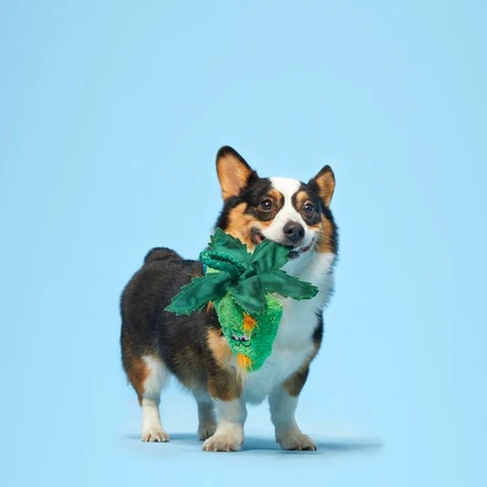 Hydropawnic Buds Plush Tug Dog Toy - Image 3