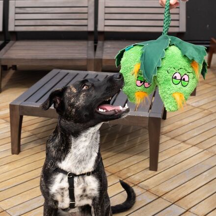 Hydropawnic Buds Plush Tug Dog Toy - Image 4