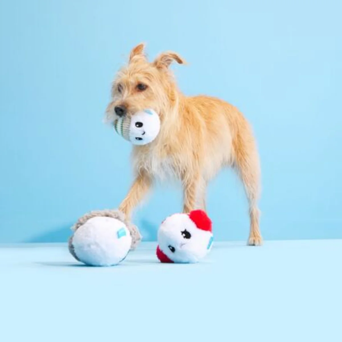 Ice, Ice, and Baby Plush Multi-Part Dog Toy - Image 2