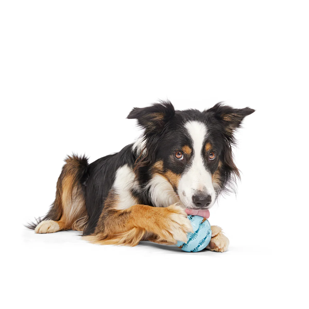Jawball Super Chewer Durable Fetch + Enrichment Dog Toy - Image 2