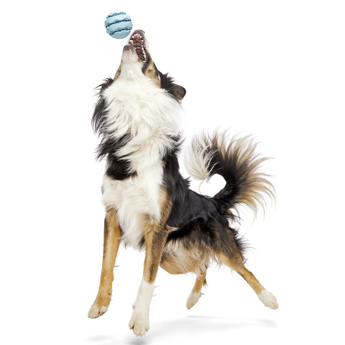 Jawball Super Chewer Durable Fetch + Enrichment Dog Toy - Image 6