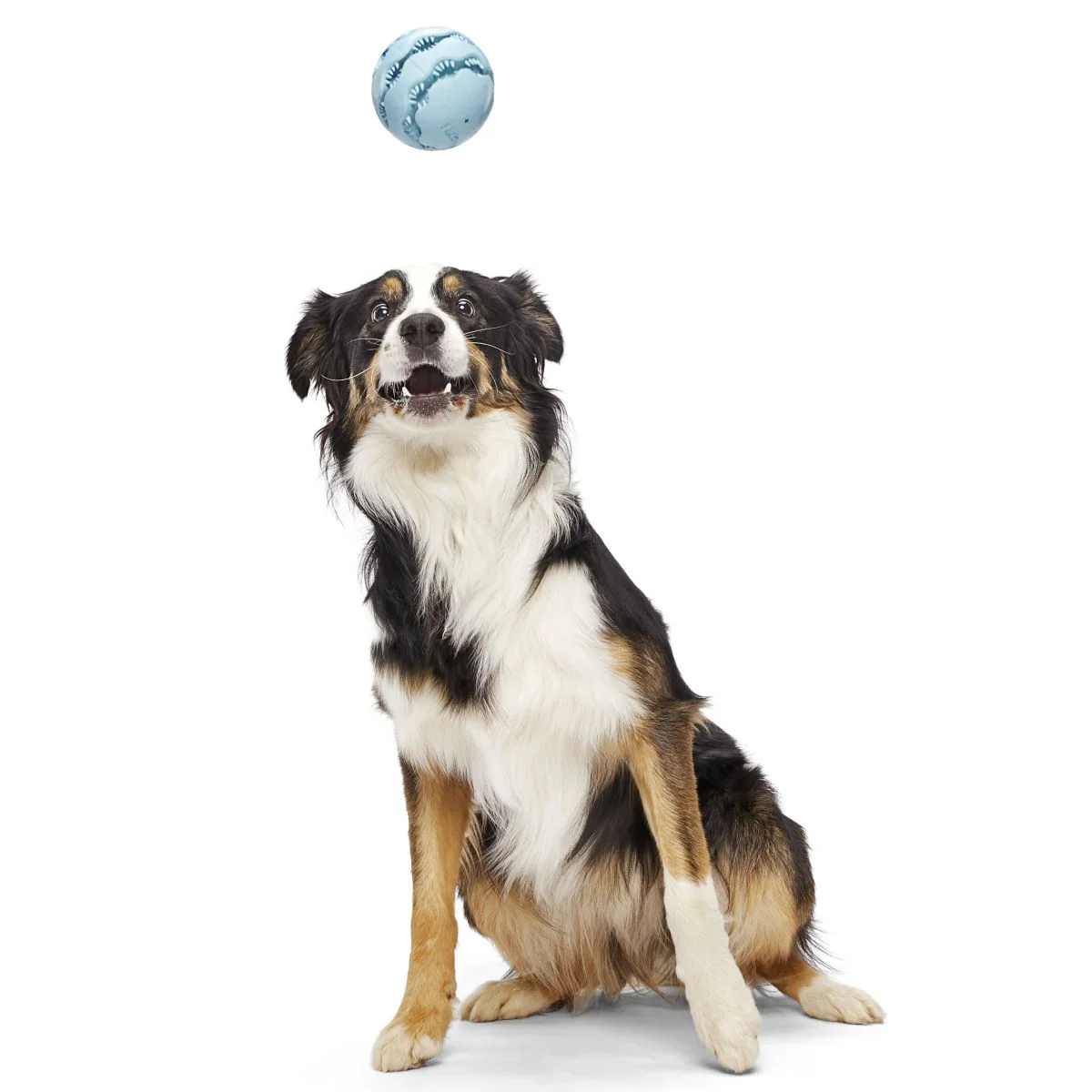 Jawball Super Chewer Durable Fetch + Enrichment Dog Toy - Image 7