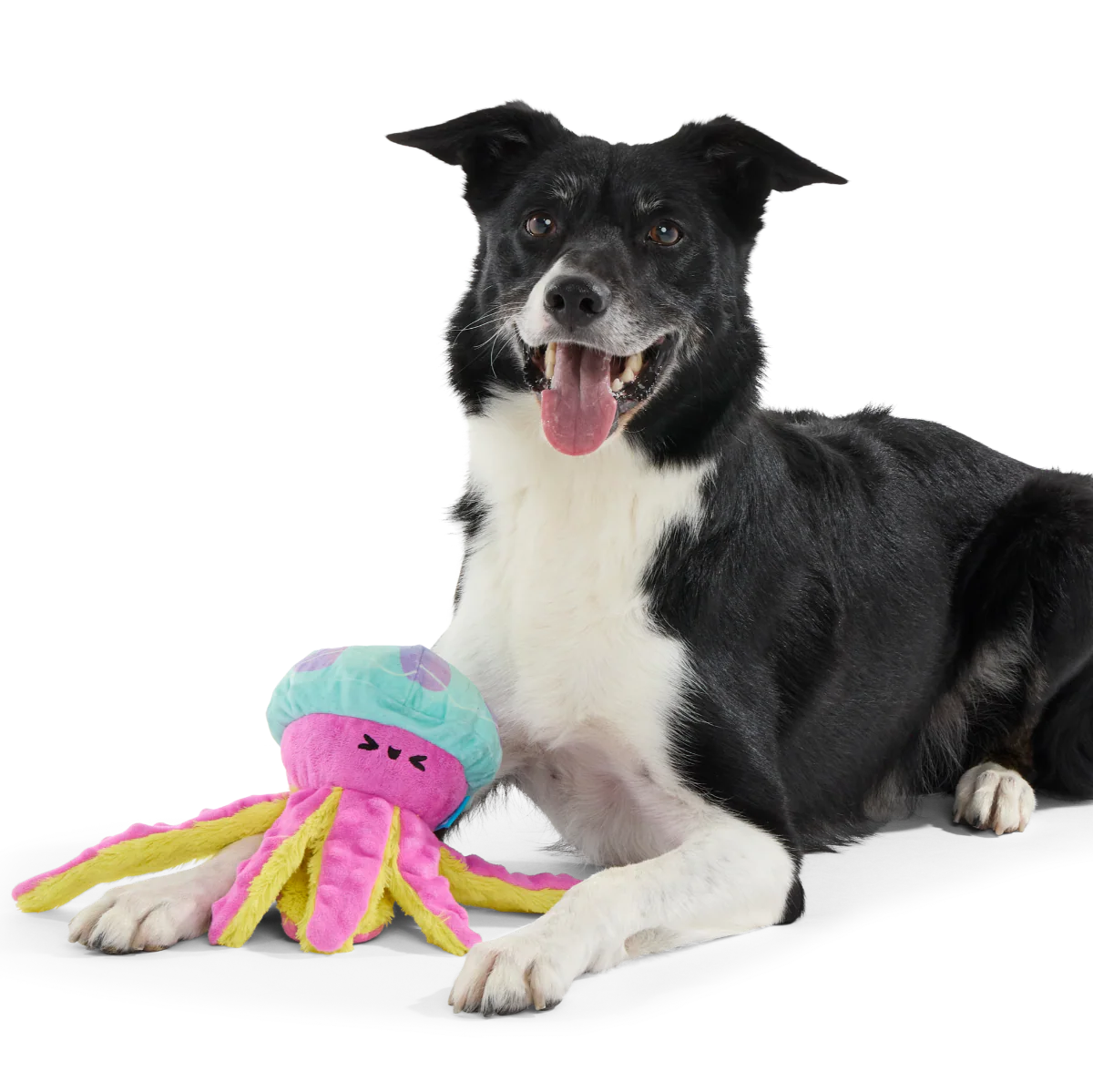 Jellysquish - Image 4