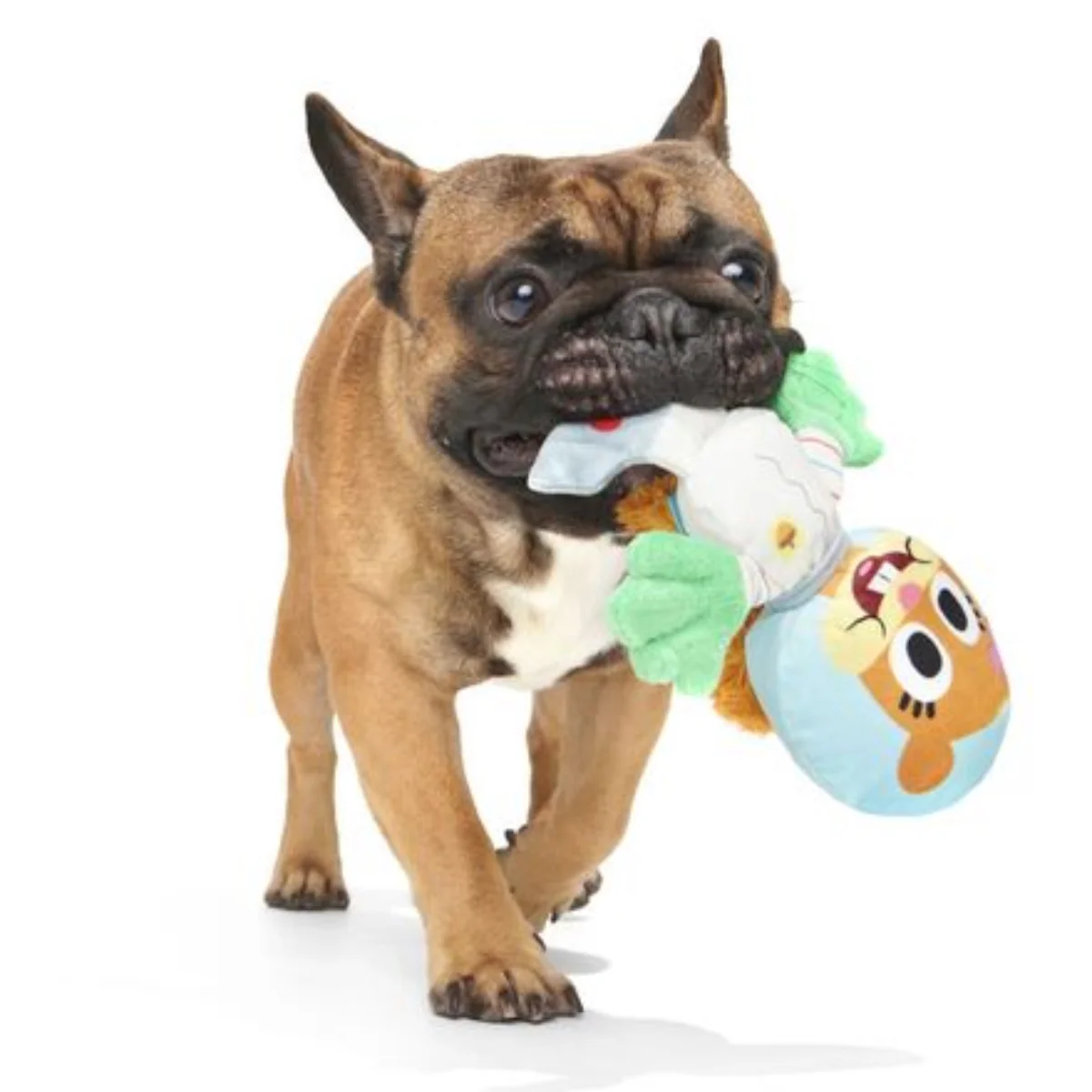 Kah-Rah-Tay Chomp Sandy Plush Tug Dog Toy - Image 2