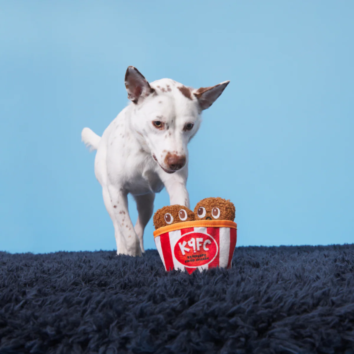 Kenpuppy Fried Chicken Plush Multi-Part Dog Toy - Image 2