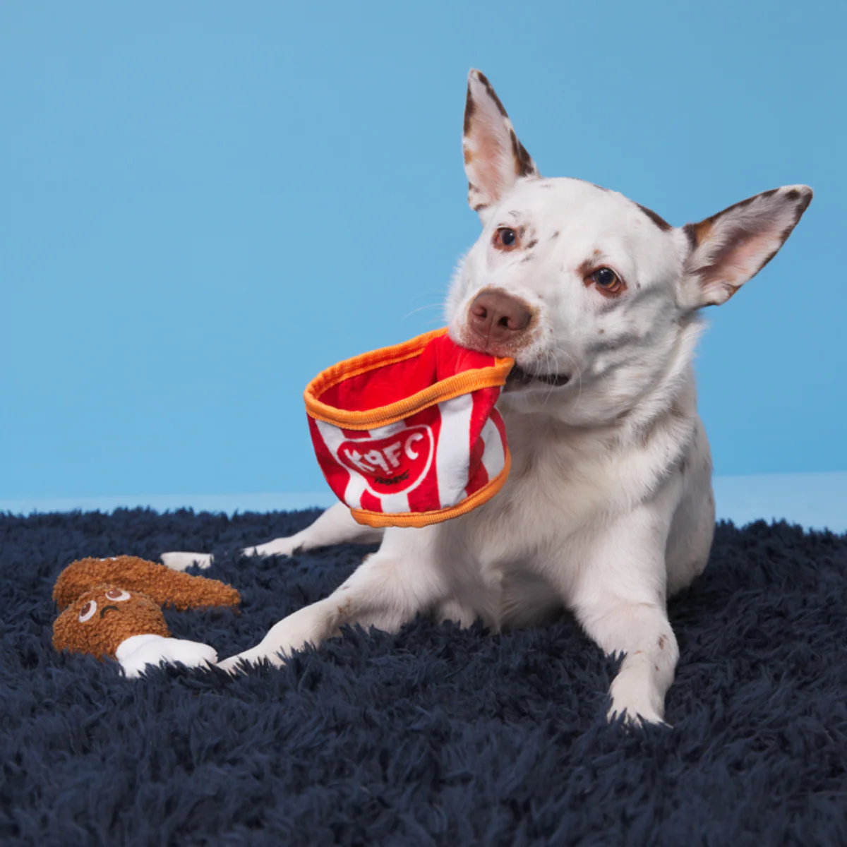 Kenpuppy Fried Chicken Plush Multi-Part Dog Toy - Image 3