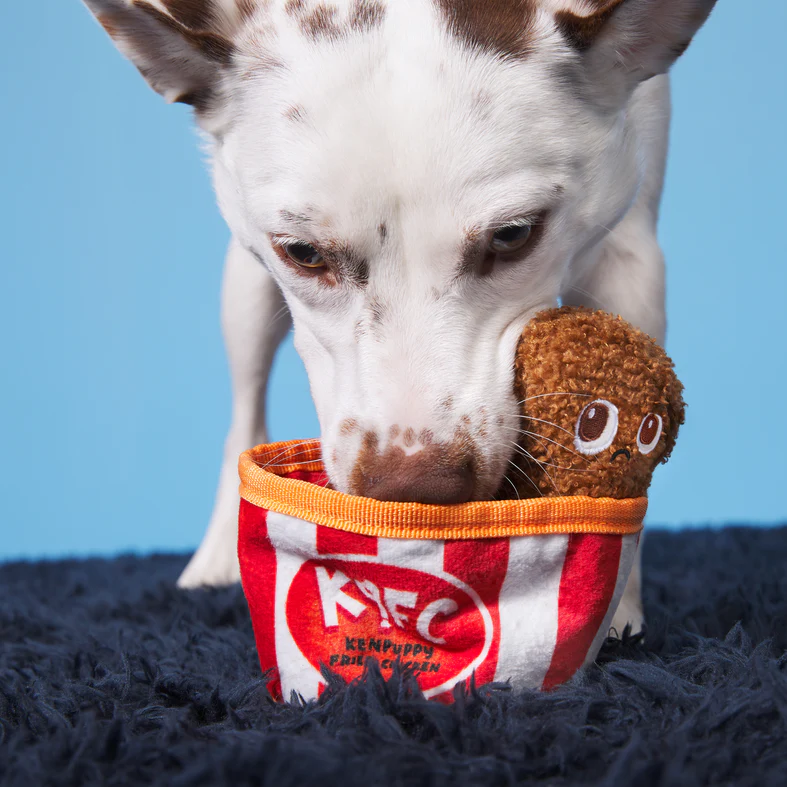 Kenpuppy Fried Chicken Plush Multi-Part Dog Toy - Image 4