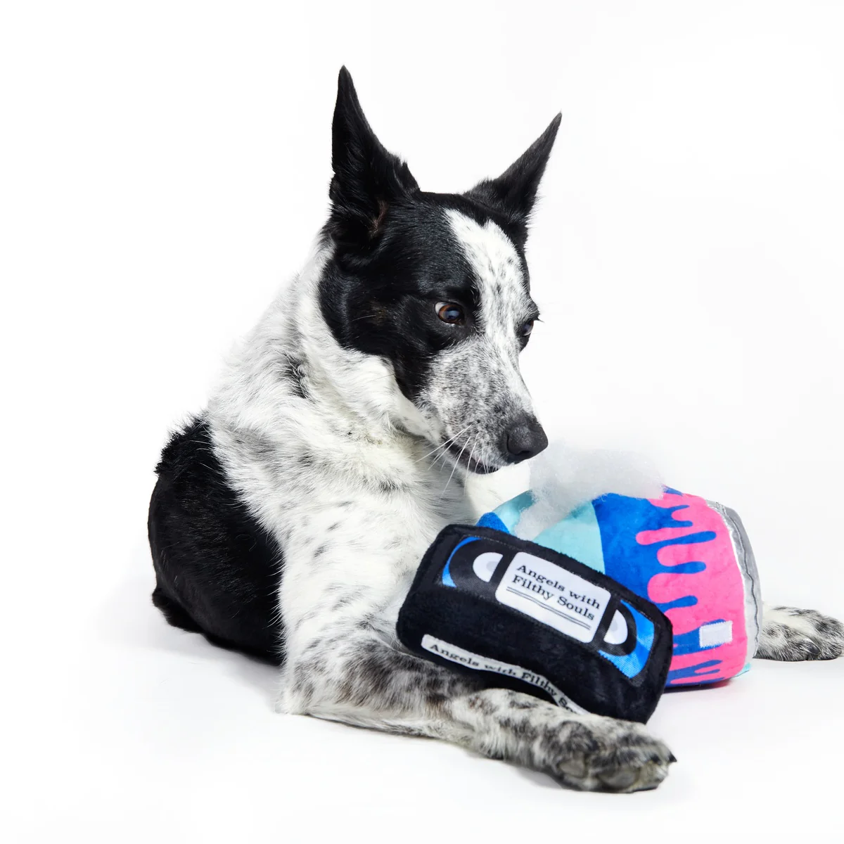Kevin's Paint Can Plush Tug Dog Toy - Image 2