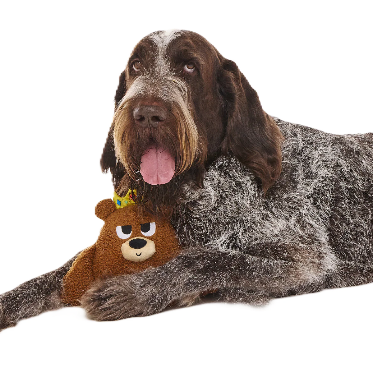 King Bearthur Plush Tug Dog Toy - Image 2