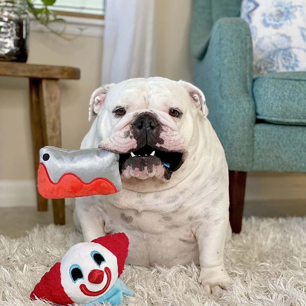 Last Laugh Bundle Plush Multi-Part Dog Toy - Image 3