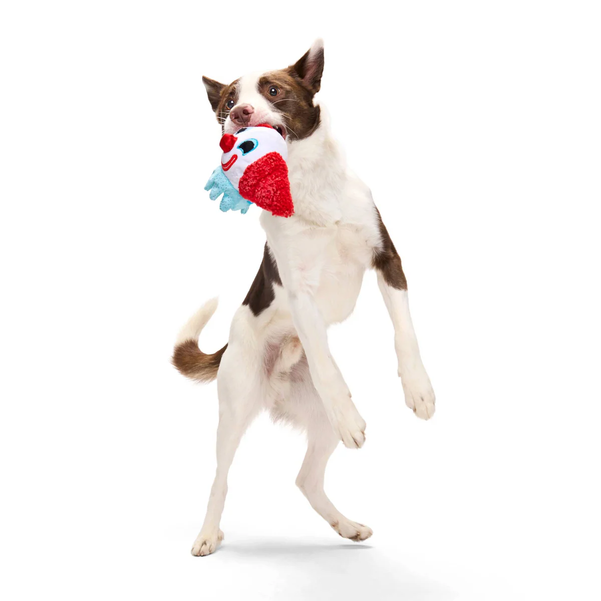 Last Laugh Bundle Plush Multi-Part Dog Toy - Image 7