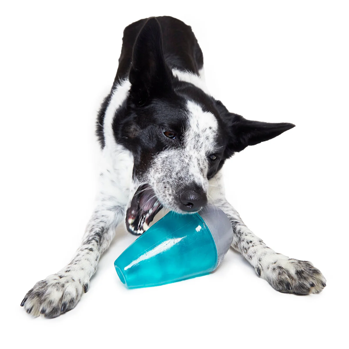 Lava Champ Super Chewer Durable Enrichment Dog Toy - Image 2