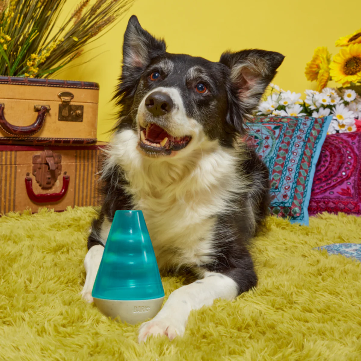 Lava Champ Super Chewer Durable Enrichment Dog Toy - Image 4