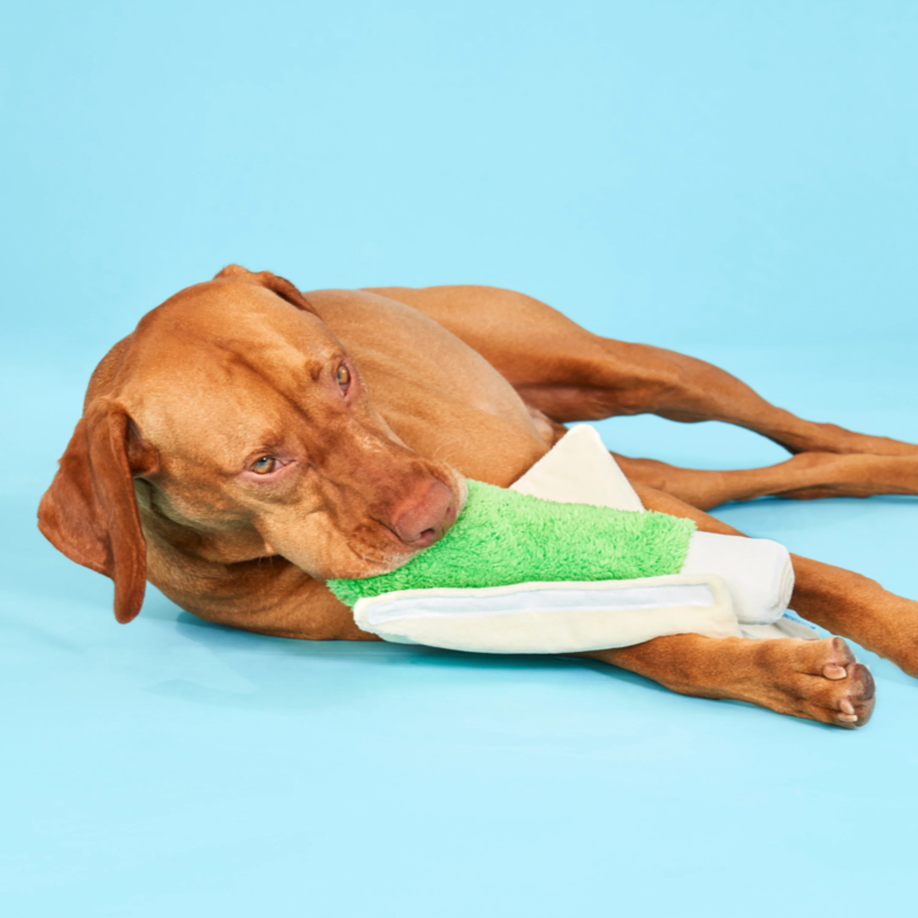 Lickety Spliff Plush Tug Dog Toy - Image 7