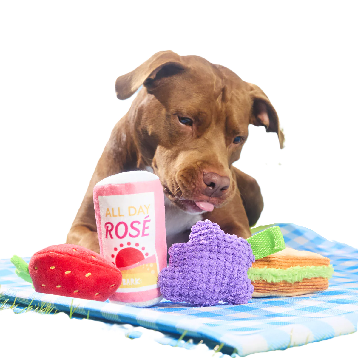 Licknic Pack Plush Tug + Multi-Part Dog Toy - Image 2