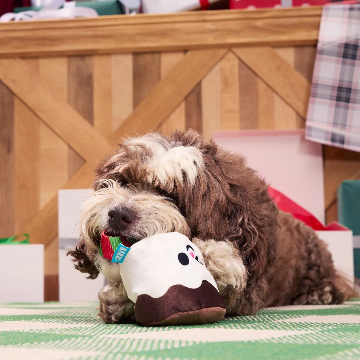 Lil Bro-coa Tug Dog Toy - Image 2