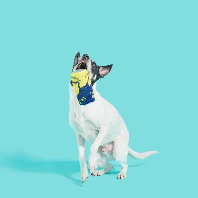 Lil' Pucker's Plush Dog Toy - Image 3
