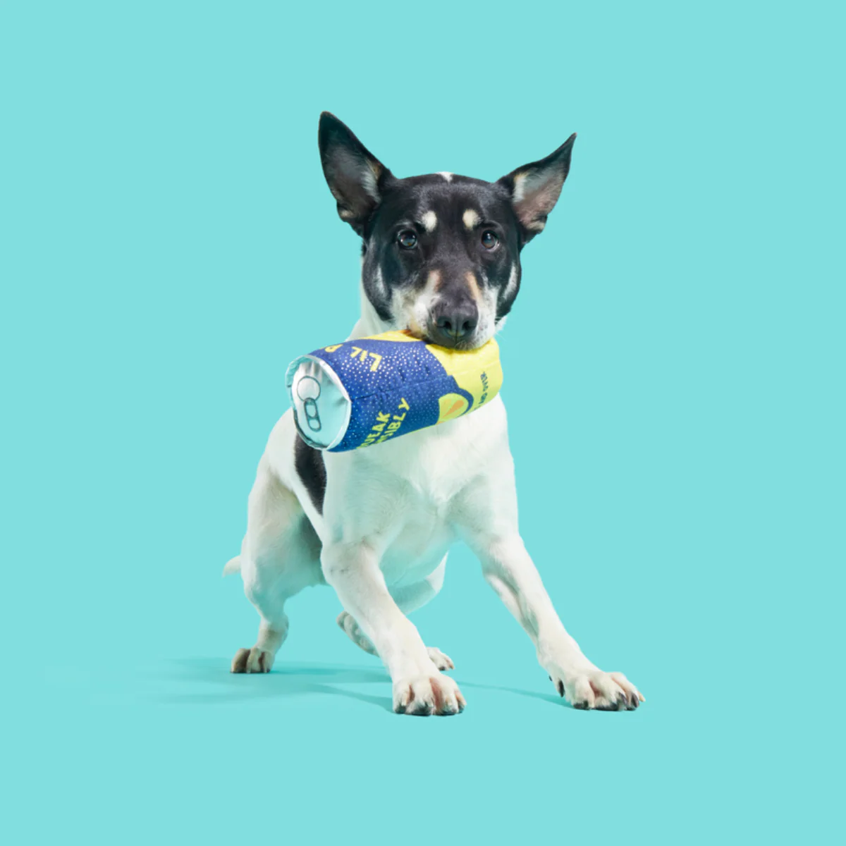 Lil' Pucker's Plush Dog Toy - Image 4