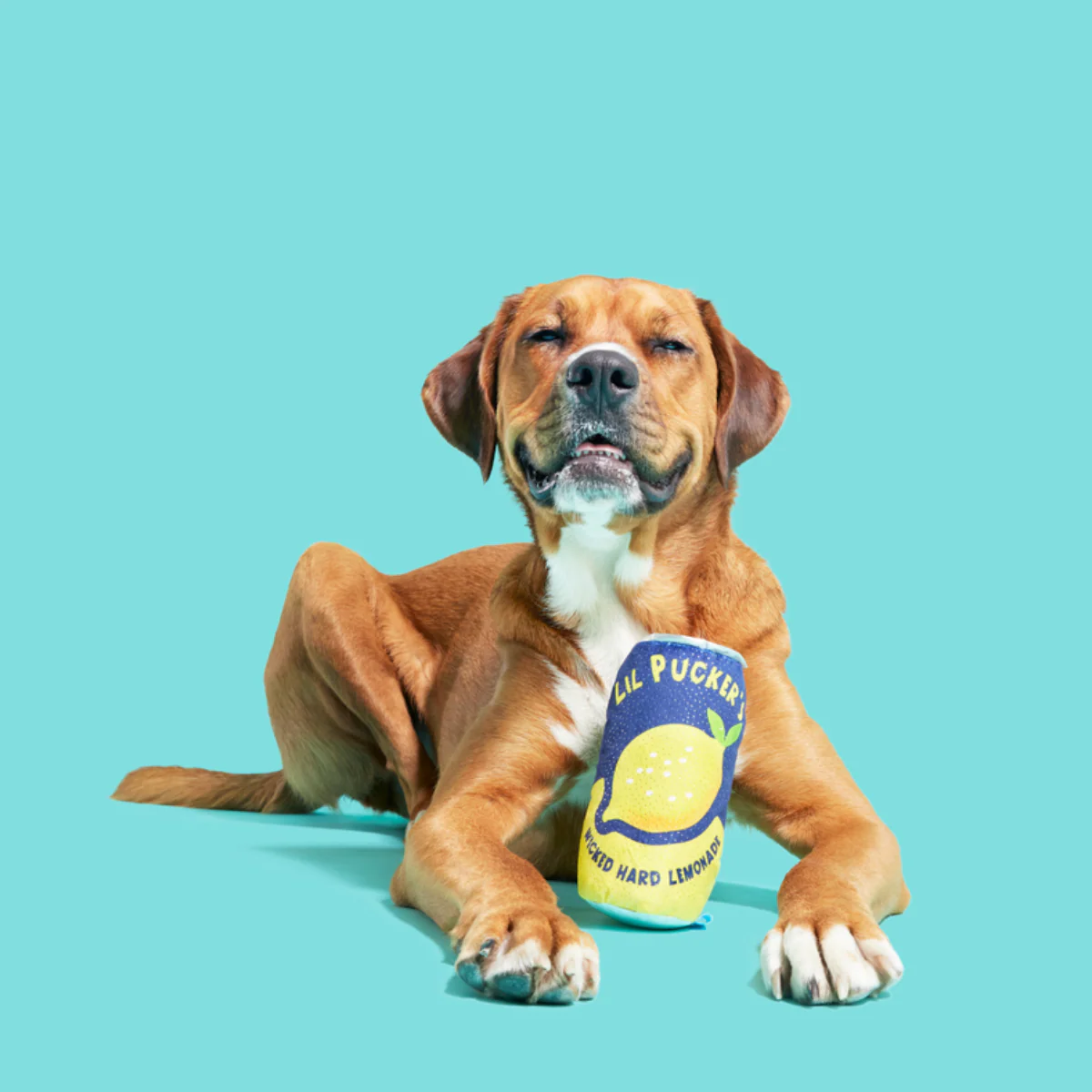 Lil' Pucker's Plush Dog Toy - Image 5