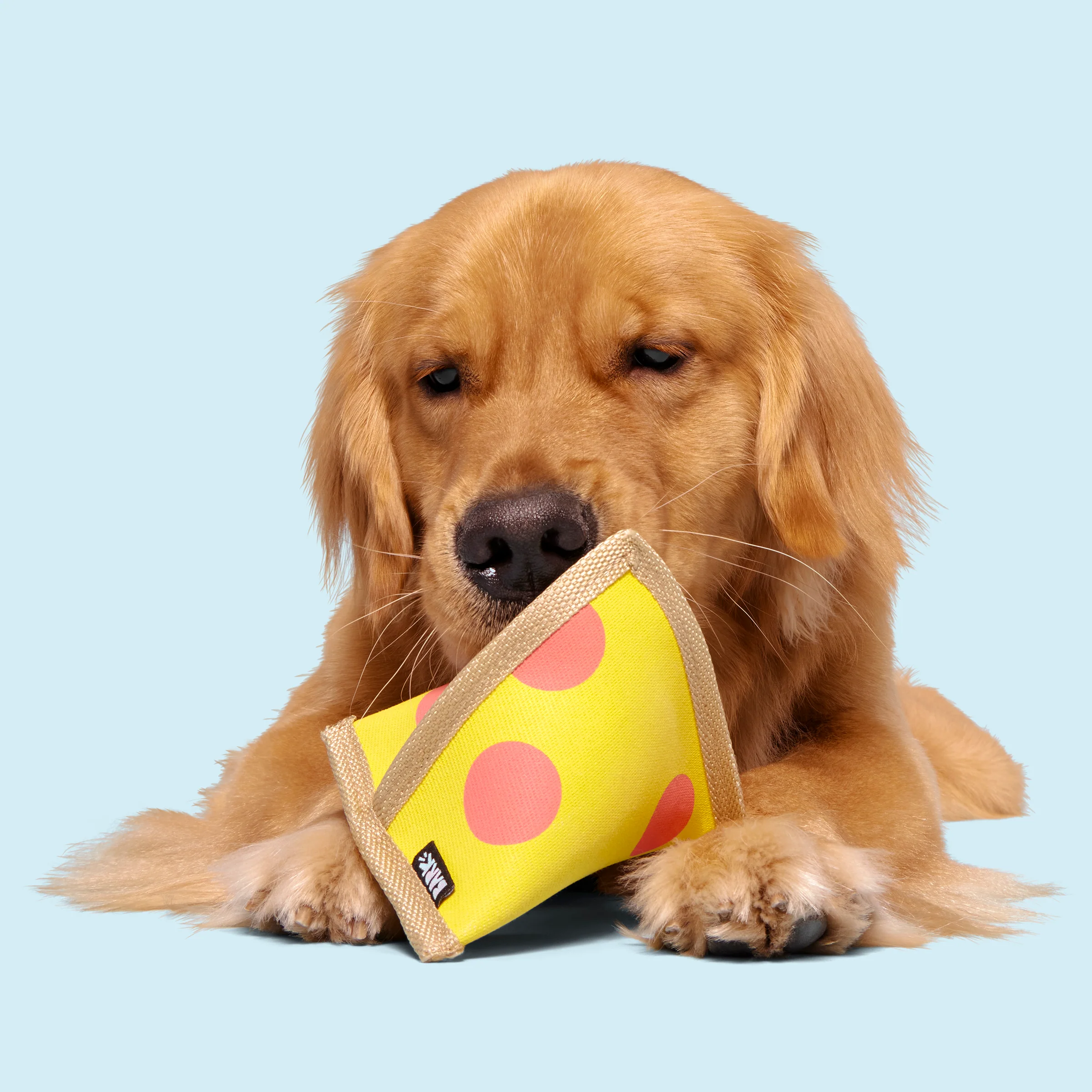 Lil Squeaker's Pizza - Image 4